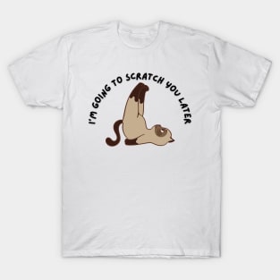 Cat Scratch T-Shirt